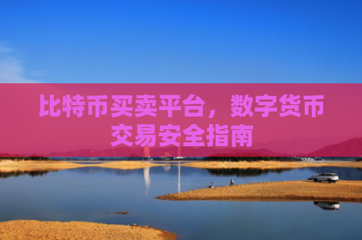 比特币买卖平台,数字货币交易安全指南