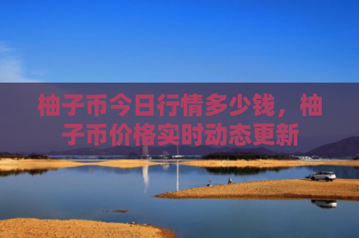 柚子币今日行情多少钱,柚子币价格实时动态更新