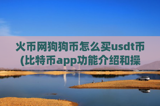 火币网狗狗币怎么买usdt币(比特币app功能介绍和操作方法)
