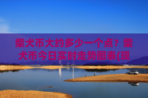 柴犬币大约多少一个点?柴犬币今日实时走势图表(现价0.00022943元)