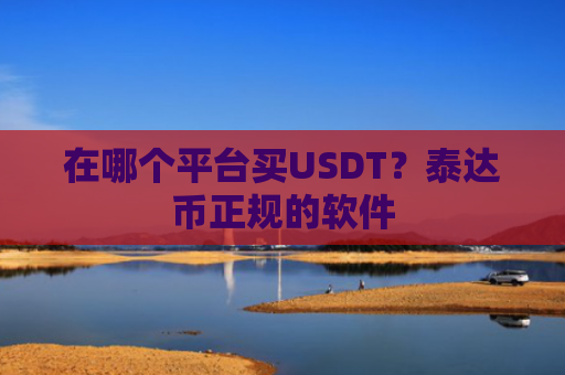 在哪个平台买USDT？泰达币正规的软件