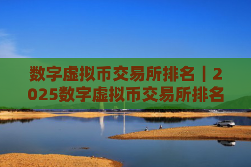 数字虚拟币交易所排名｜2025数字虚拟币交易所排名：谁是交易之王？