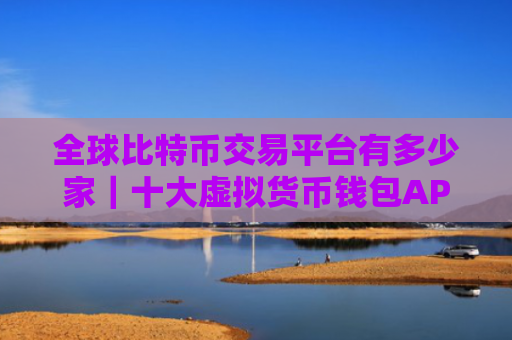 全球比特币交易平台有多少家|十大虚拟货币钱包APP