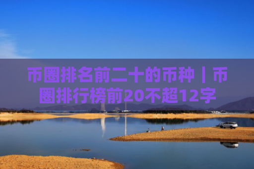 币圈排名前二十的币种|币圈排行榜前20不超12字