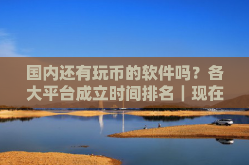 国内还有玩币的软件吗？各大平台成立时间排名｜现在买币用什么软件？