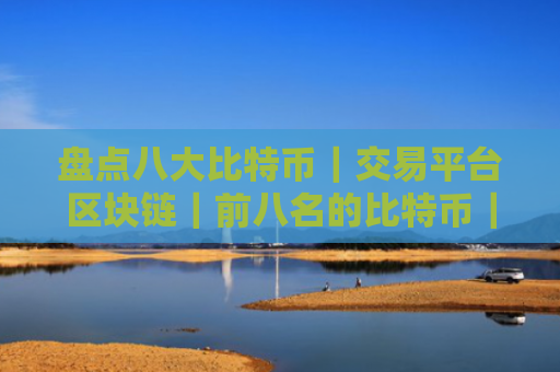 盘点八大比特币|交易平台区块链|前八名的比特币|交易平台排行