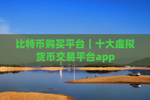 比特币购买平台|十大虚拟货币交易平台app