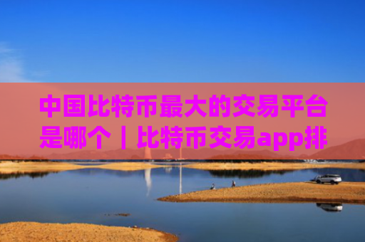 中国比特币最大的交易平台是哪个|比特币交易app排行榜前十名