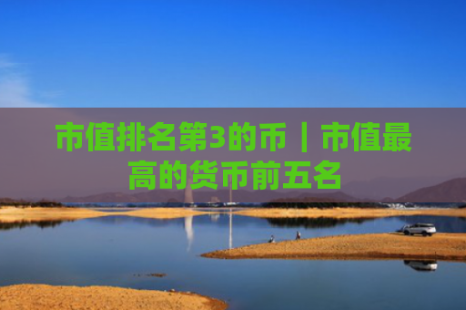 市值排名第3的币|市值最高的货币前五名