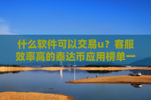 什么软件可以交易u？客服效率高的泰达币应用榜单一览