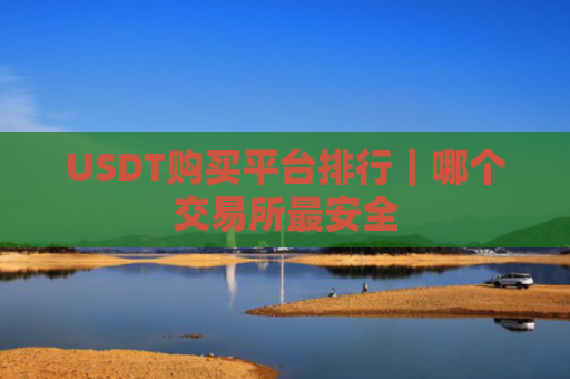USDT购买平台排行|哪个交易所最安全