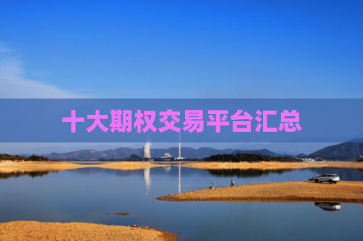 十大期权交易平台汇总