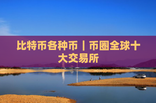 比特币各种币｜币圈全球十大交易所