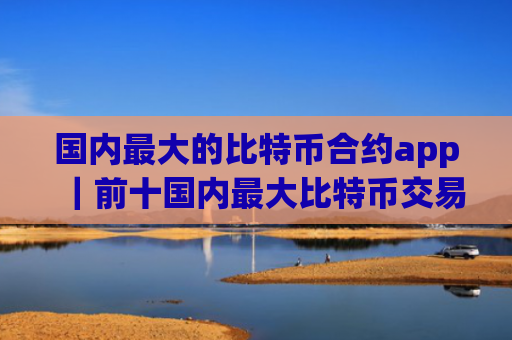 国内最大的比特币合约app|前十国内最大比特币交易排行