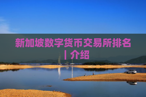 新加坡数字货币交易所排名|介绍