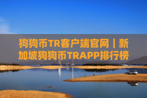 狗狗币TR客户端官网｜新加坡狗狗币TRAPP排行榜2025年