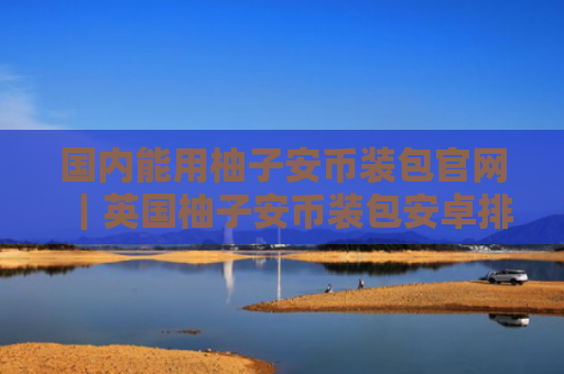 国内能用柚子安币装包官网|英国柚子安币装包安卓排行榜