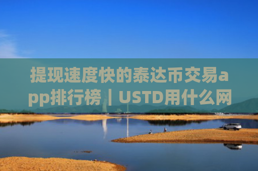 提现速度快的泰达币交易app排行榜|USTD用什么网站安全