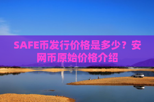 SAFE币发行价格是多少?安网币原始价格介绍