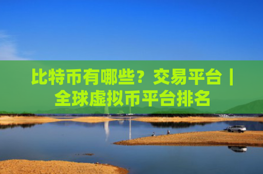 比特币有哪些?交易平台|全球虚拟币平台排名