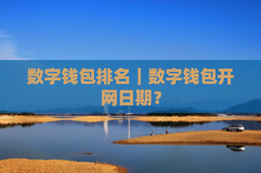 数字钱包排名|数字钱包开网日期?