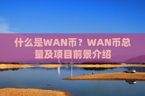 什么是WAN币？WAN币总量及项目前景介绍