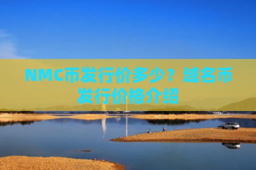 NMC币发行价多少?域名币发行价格介绍