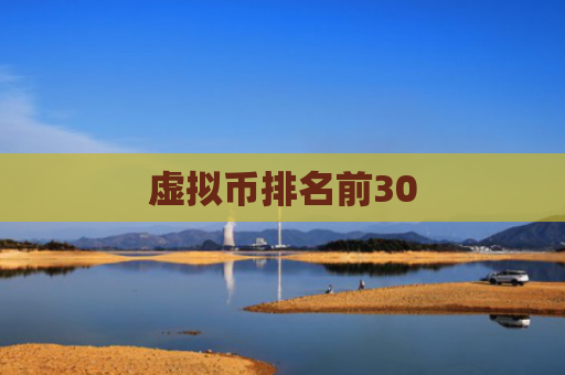 虚拟币排名前30