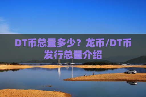 DT币总量多少?龙币/DT币发行总量介绍
