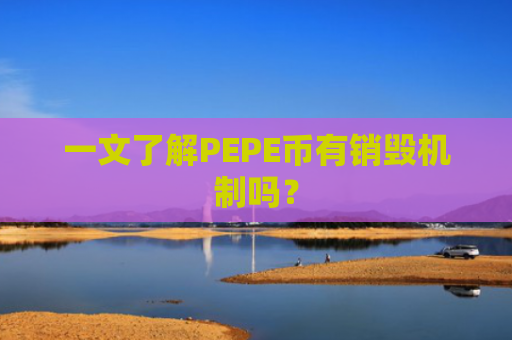 一文了解PEPE币有销毁机制吗？
