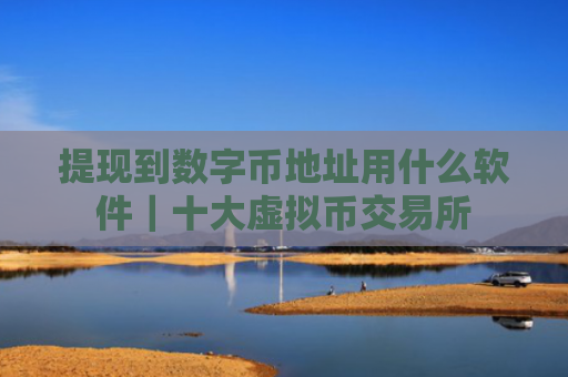 提现到数字币地址用什么软件｜十大虚拟币交易所