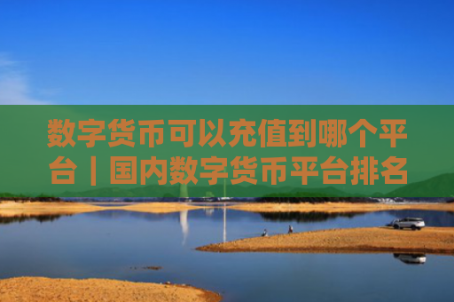 数字货币可以充值到哪个平台|国内数字货币平台排名