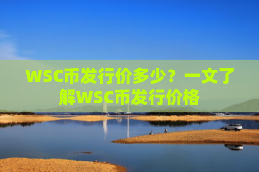 WSC币发行价多少？一文了解WSC币发行价格