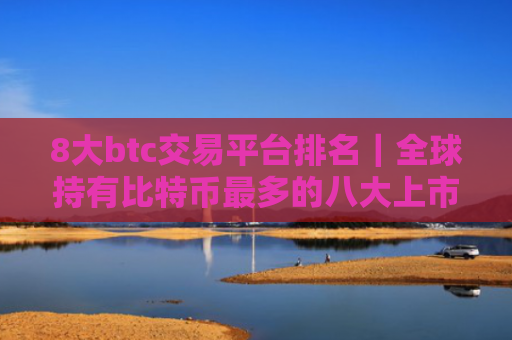 8大btc交易平台排名|全球持有比特币最多的八大上市公司