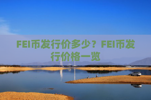 FEI币发行价多少？FEI币发行价格一览