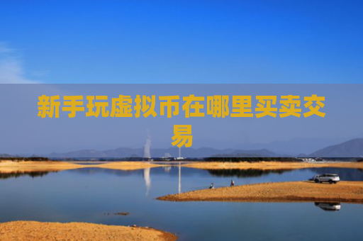 新手玩虚拟币在哪里买卖交易