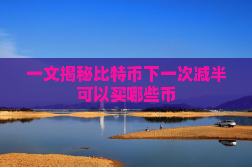 一文揭秘比特币下一次减半可以买哪些币