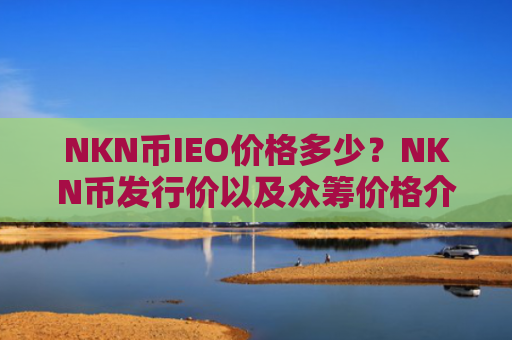 NKN币IEO价格多少?NKN币发行价以及众筹价格介绍
