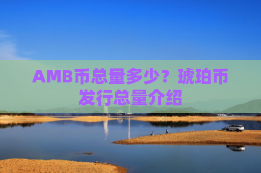 AMB币总量多少？琥珀币发行总量介绍