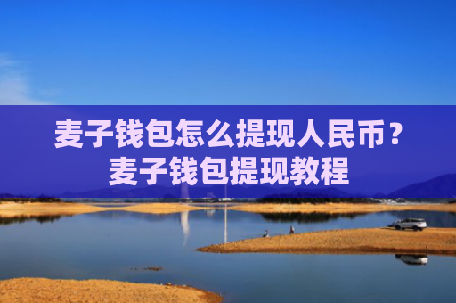 麦子钱包怎么提现人民币？麦子钱包提现教程