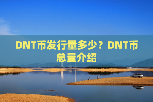 DNT币发行量多少？DNT币总量介绍