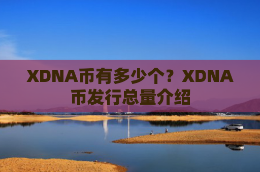 XDNA币有多少个?XDNA币发行总量介绍