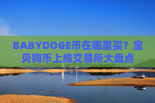 BABYDOGE币在哪里买?宝贝狗币上线交易所大盘点