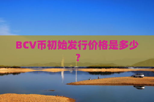 BCV币初始发行价格是多少？