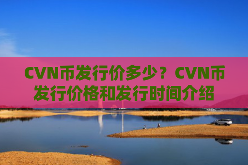 CVN币发行价多少?CVN币发行价格和发行时间介绍