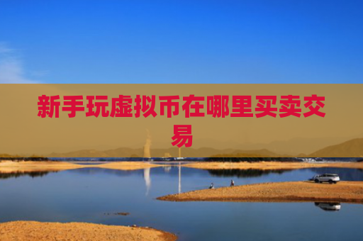 新手玩虚拟币在哪里买卖交易