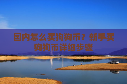 国内怎么买狗狗币？新手买狗狗币详细步骤