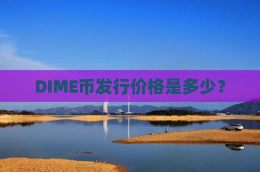 DIME币发行价格是多少?