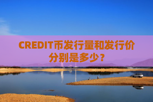 CREDIT币发行量和发行价分别是多少？