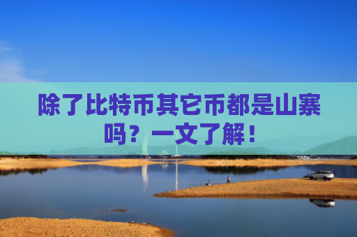 除了比特币其它币都是山寨吗?一文了解!